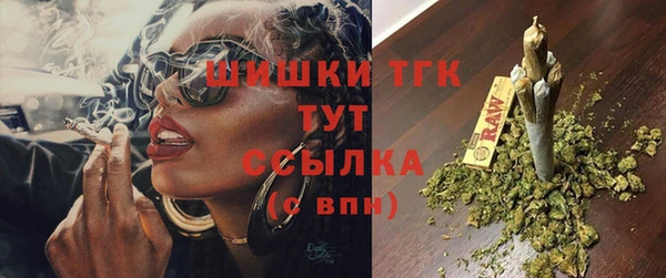 гидропоника Няндома