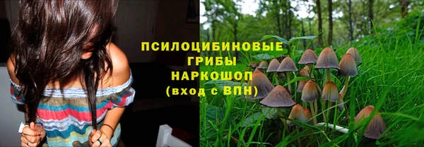марки nbome Новозыбков