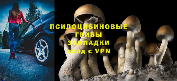 винт Новокубанск